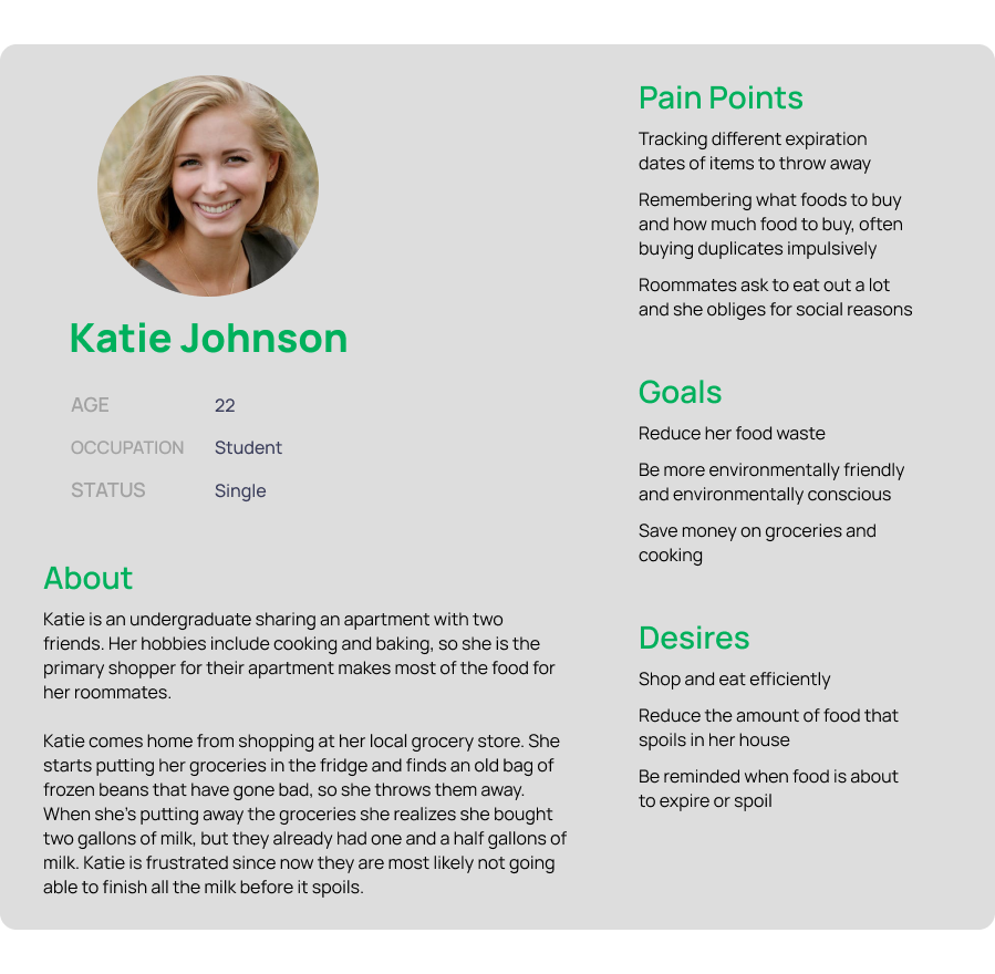 one persona generated through interviews