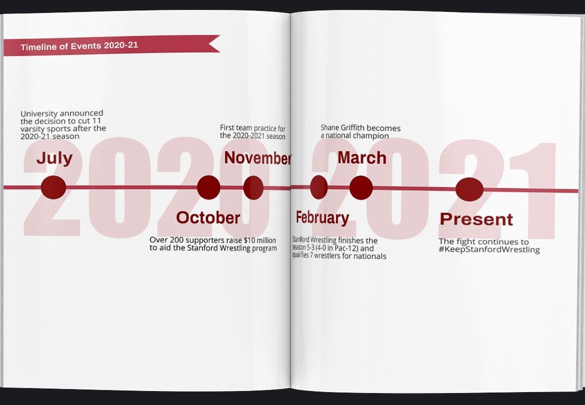 page 5 of the publication with a timeline