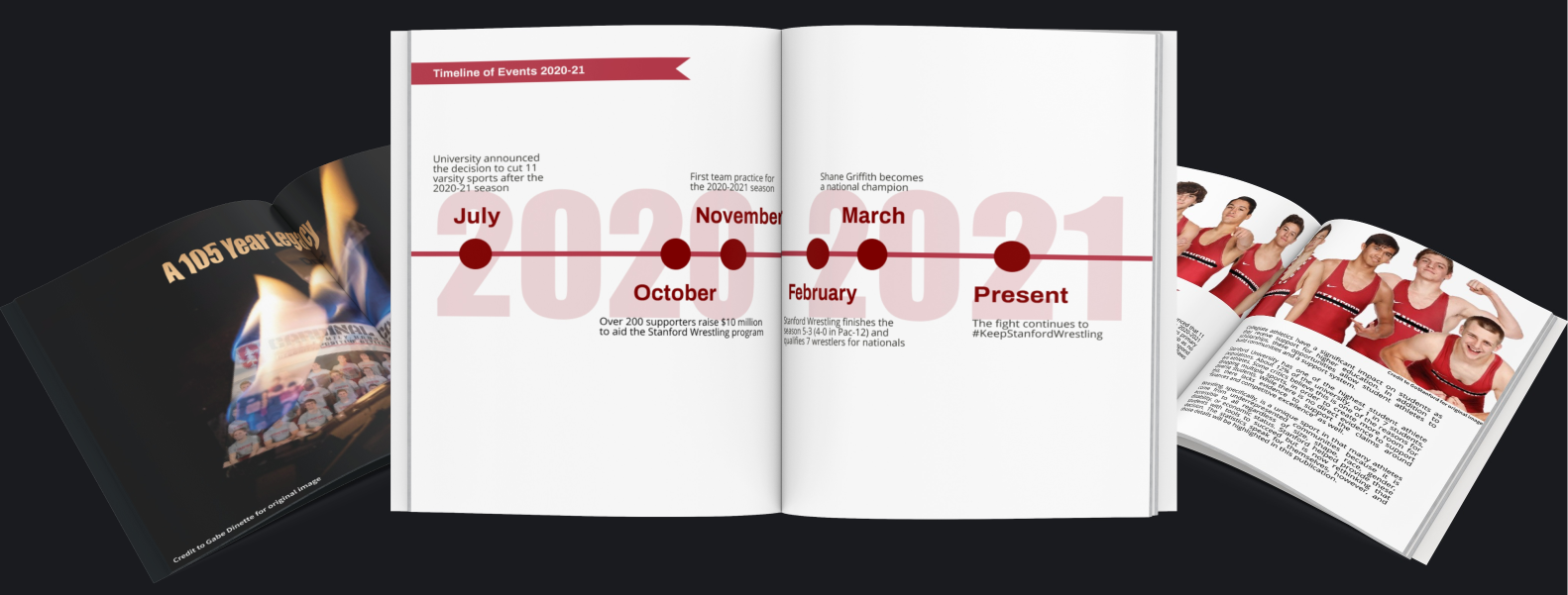 preview of pages within the publication